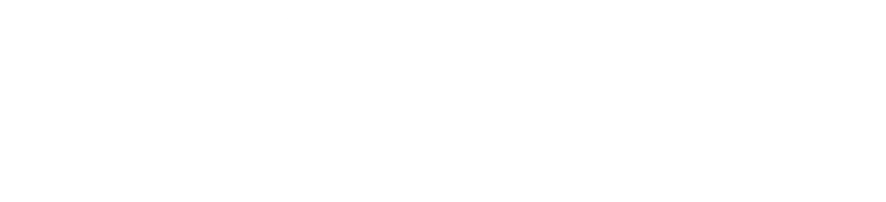 Jacana Websites & Marketing